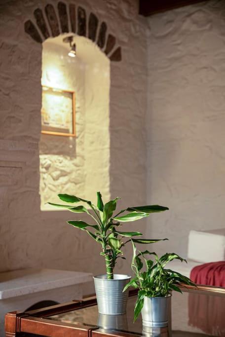 Villa Mansion Eugenie à Hydra  Extérieur photo